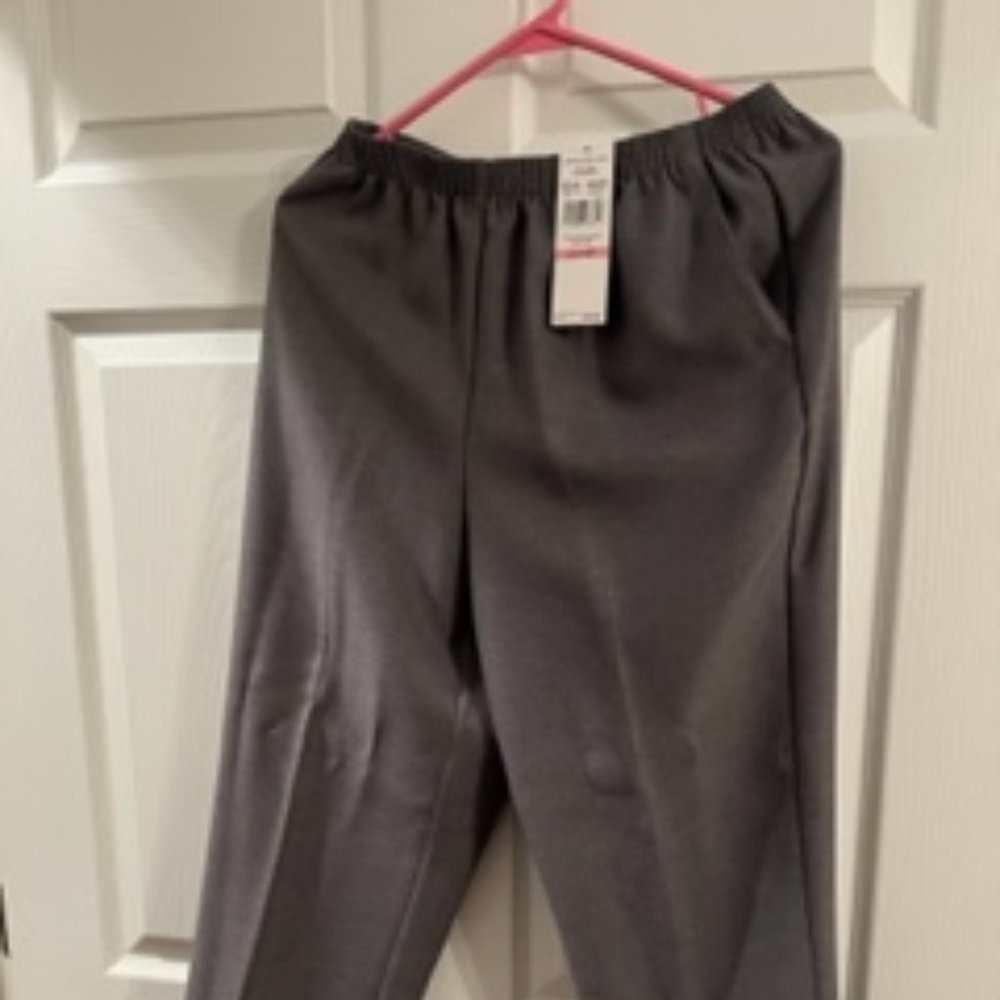 Charcoal Gray Alfred Dunner Slacks Size 10 Petite